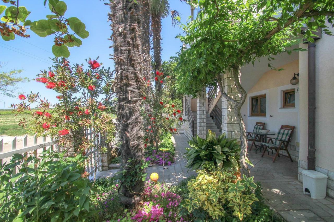 Apartment Sanja Novigrad Istria Exterior foto